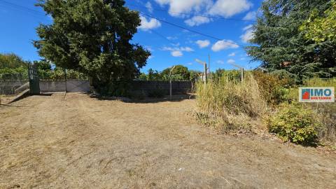 Quinta em Alvarcões  - Castelo Branco