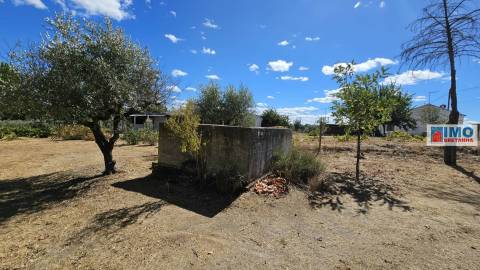Quinta em Alvarcões  - Castelo Branco