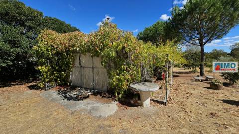 Quinta em Alvarcões  - Castelo Branco