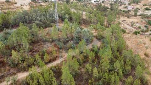 Terreno em Taberna Seca