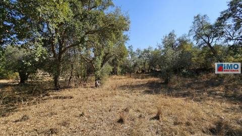 Quinta em Salgueiro do Campo