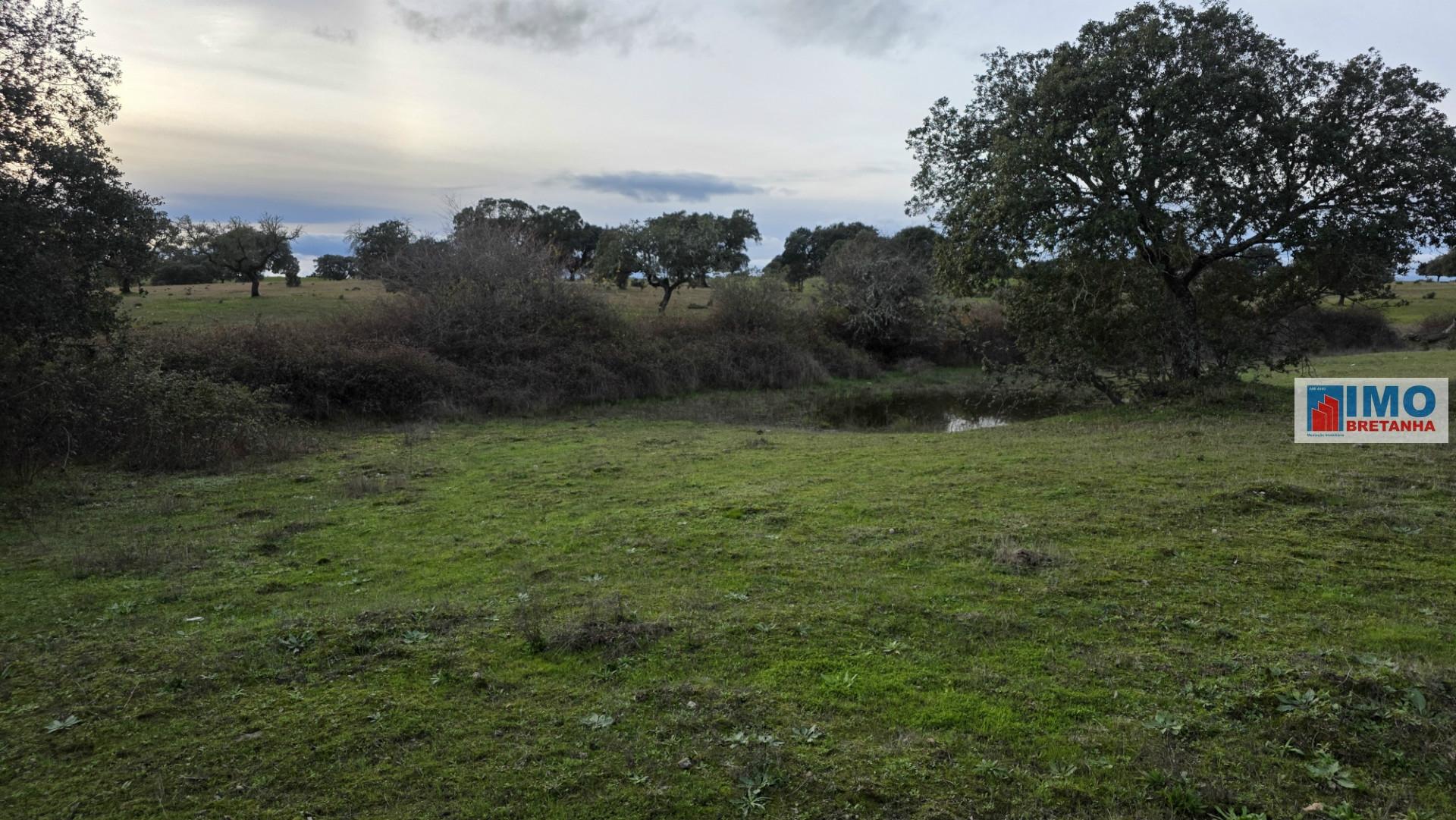 Quinta  - Alcafozes