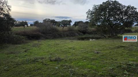 Quinta  - Alcafozes