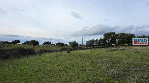 Quinta  - Alcafozes