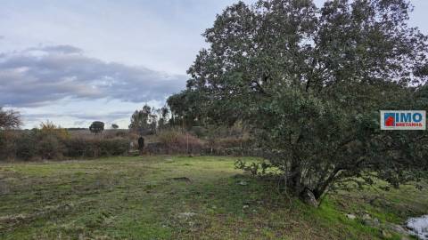 Quinta  - Alcafozes