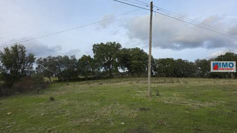 Quinta  - Alcafozes