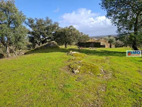 Quinta c/ Ruína em São Miguel D´Acha - 20 min Castelo Branco
