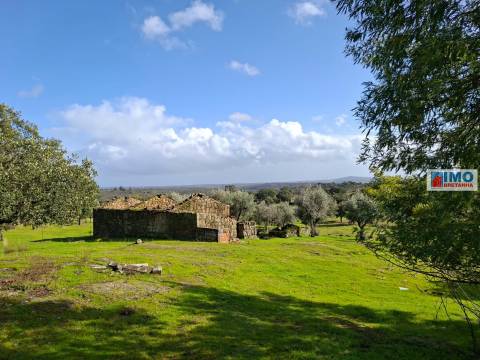 Quinta c/ Ruína em São Miguel D´Acha - 20 min Castelo Branco