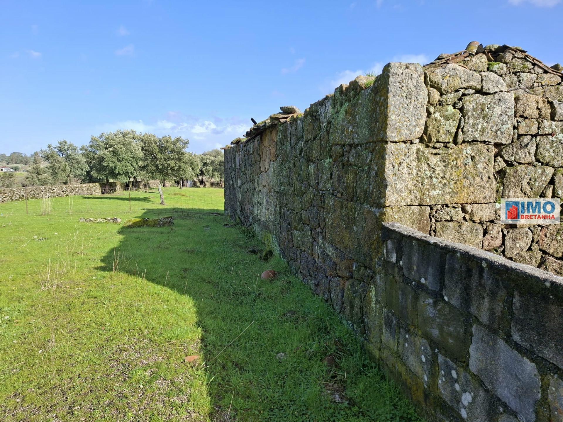 Quinta c/ Ruína em São Miguel D´Acha - 20 min Castelo Branco