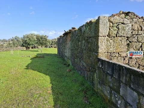 Quinta c/ Ruína em São Miguel D´Acha - 20 min Castelo Branco