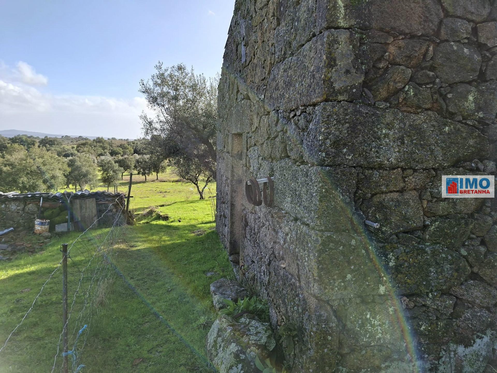 Quinta c/ Ruína em São Miguel D´Acha - 20 min Castelo Branco