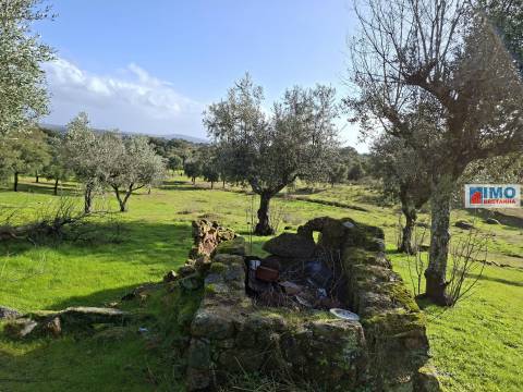 Quinta c/ Ruína em São Miguel D´Acha - 20 min Castelo Branco