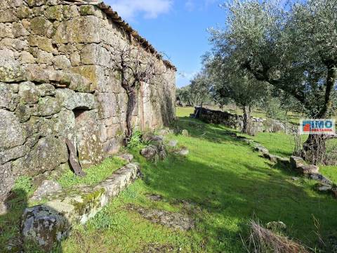 Quinta c/ Ruína em São Miguel D´Acha - 20 min Castelo Branco
