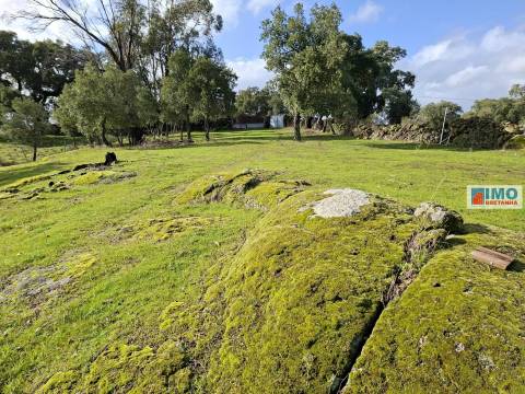 Quinta c/ Ruína em São Miguel D´Acha - 20 min Castelo Branco