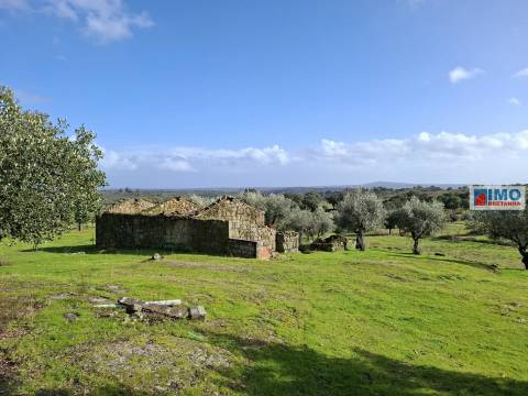 Quinta c/ Ruína em São Miguel D´Acha - 20 min Castelo Branco