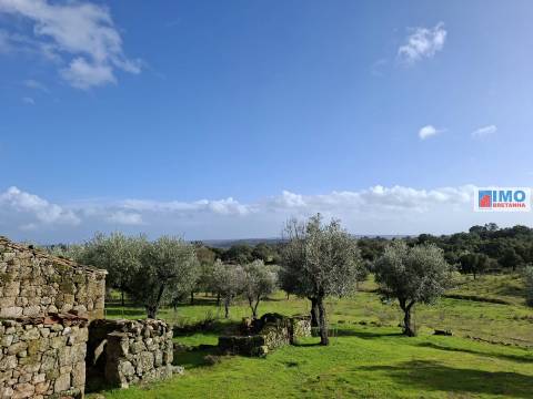 Quinta c/ Ruína em São Miguel D´Acha - 20 min Castelo Branco