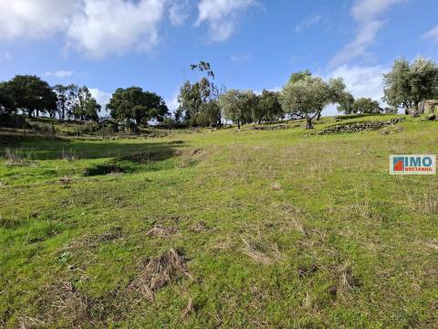 Quinta c/ Ruína em São Miguel D´Acha - 20 min Castelo Branco