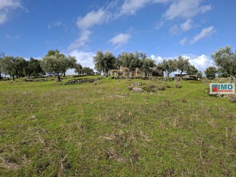 Quinta c/ Ruína em São Miguel D´Acha - 20 min Castelo Branco