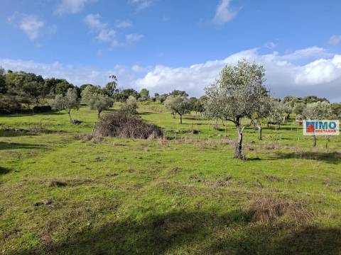 Quinta c/ Ruína em São Miguel D´Acha - 20 min Castelo Branco