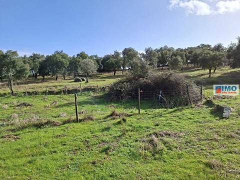 Quinta c/ Ruína em São Miguel D´Acha - 20 min Castelo Branco