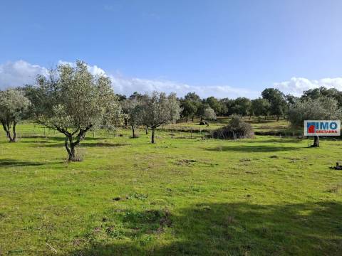 Quinta c/ Ruína em São Miguel D´Acha - 20 min Castelo Branco