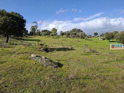 Quinta c/ Ruína em São Miguel D´Acha - 20 min Castelo Branco