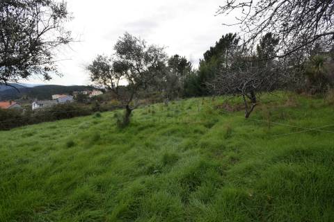 Terreno Urbano p/ Investimento – Unhais da Serra - Possível Construção de 6 Moradias