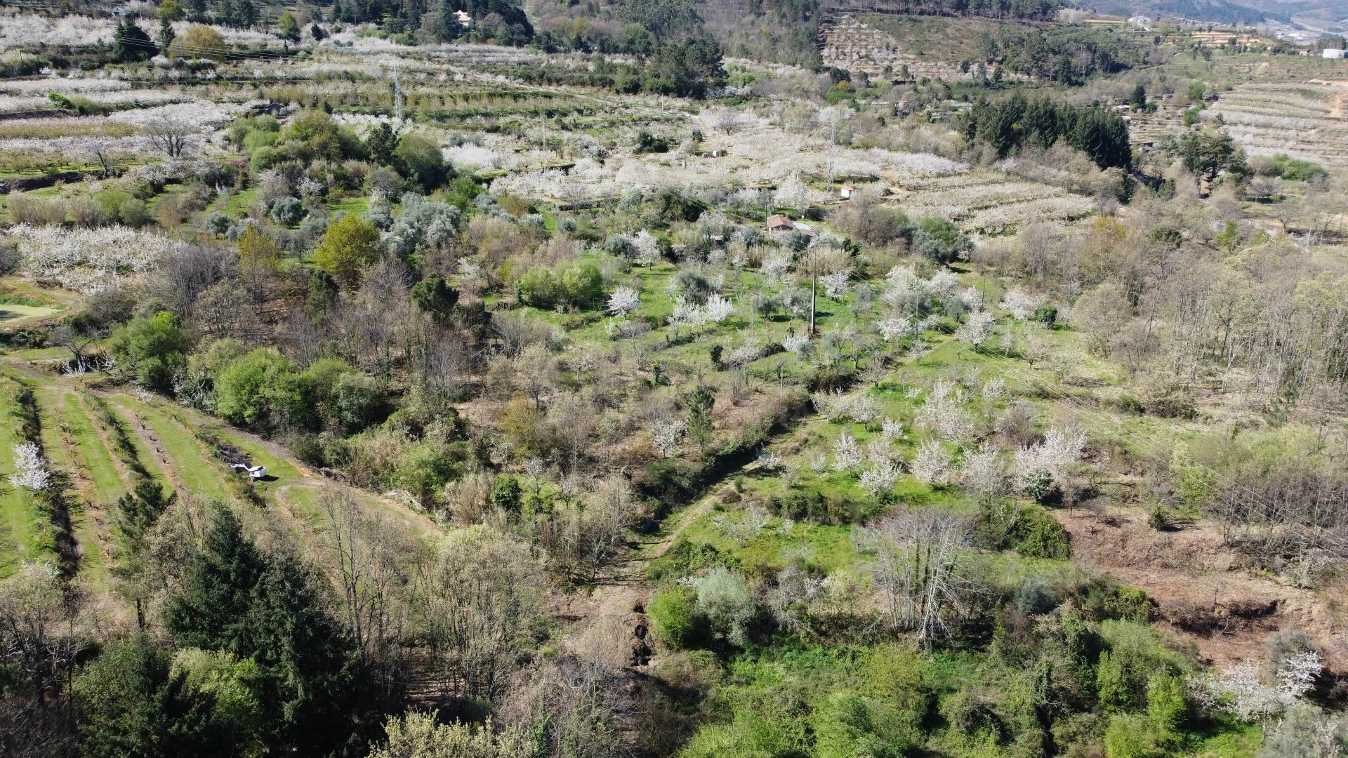 Quinta c/ 5,5 ha - Alcaide - Fundão