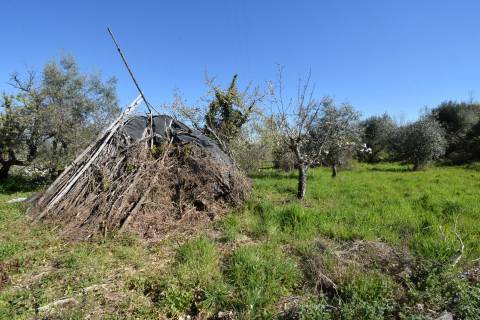 Quinta c/ 5,5 ha - Alcaide - Fundão