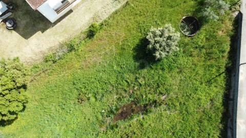 Terreno  Urbanizável – 9.900 m² | Dominguizo, Covilhã