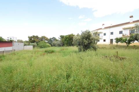 Terreno  Urbanizável – 9.900 m² | Dominguizo, Covilhã