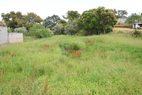 Terreno  Urbanizável – 9.900 m² | Dominguizo, Covilhã