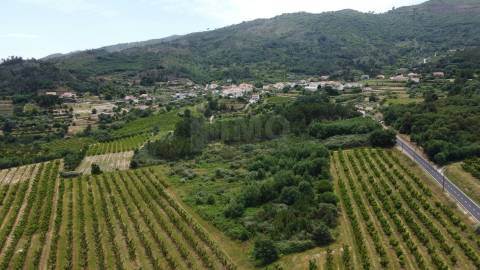 Terreno Rústico c/ 5.629 m² em Aldeia do Souto – Covilhã