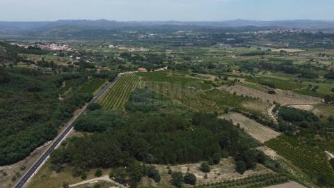 Terreno Rústico c/ 5.629 m² em Aldeia do Souto – Covilhã