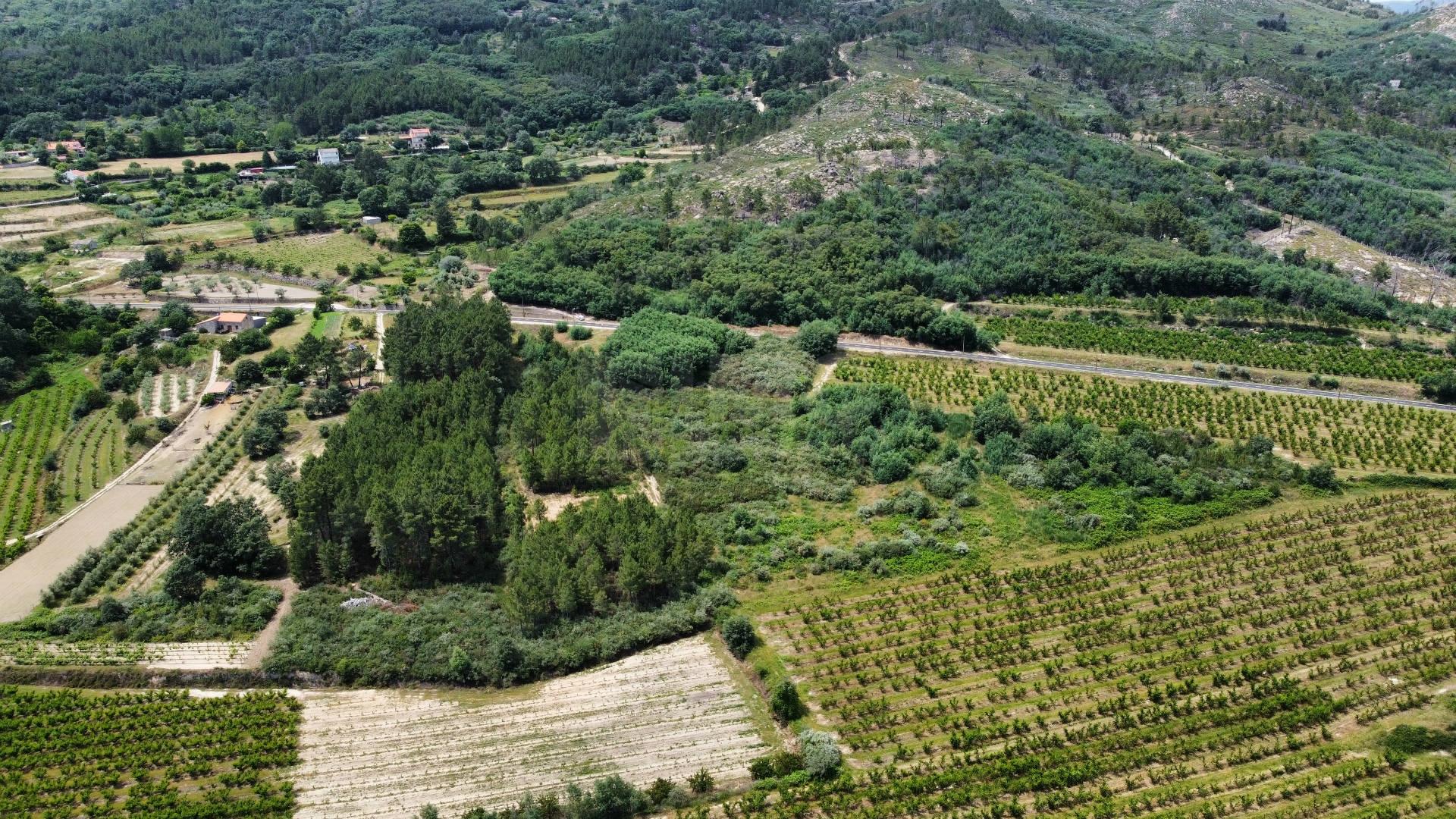 Terreno Rústico c/ 5.629 m² em Aldeia do Souto – Covilhã
