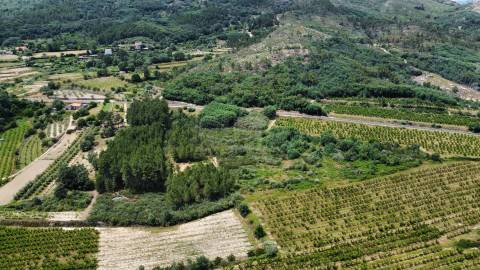Terreno Rústico c/ 5.629 m² em Aldeia do Souto – Covilhã