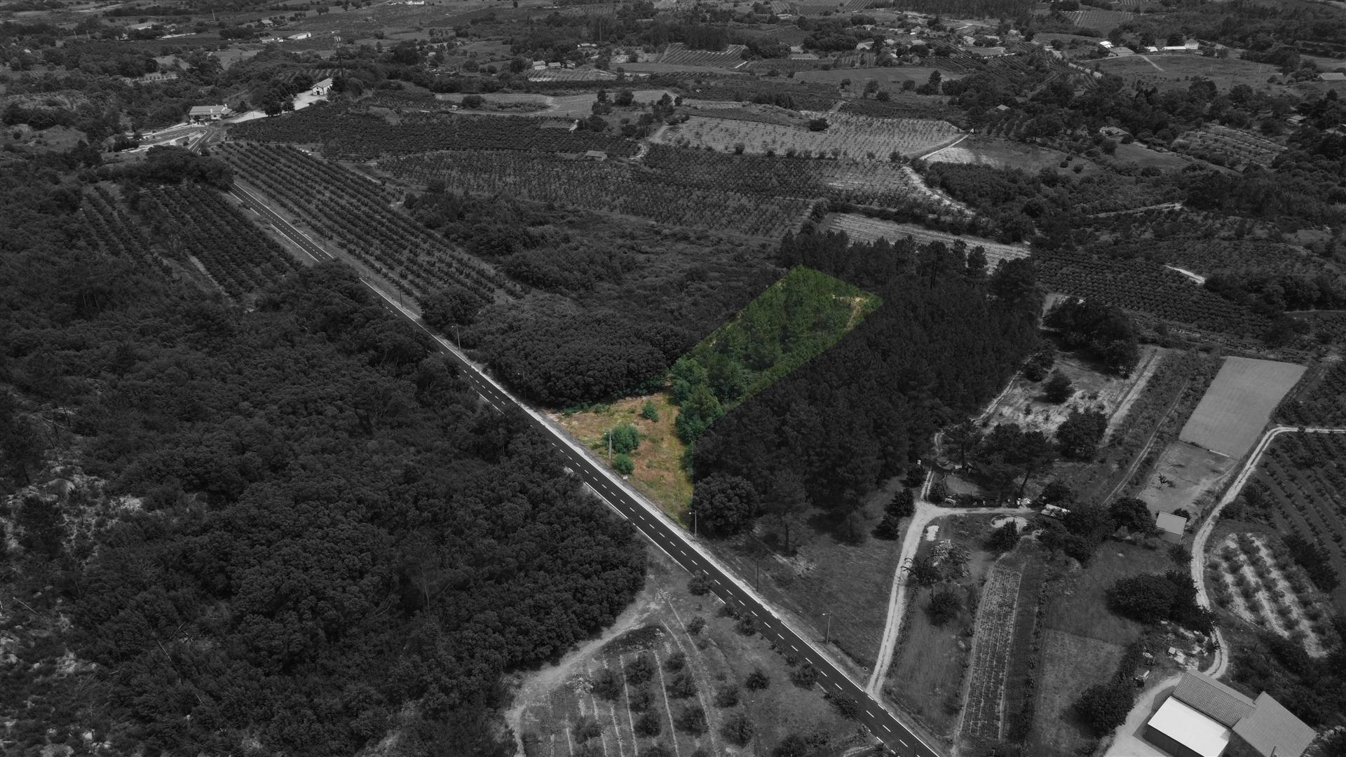 Terreno Rústico c/ 5.629 m² em Aldeia do Souto – Covilhã
