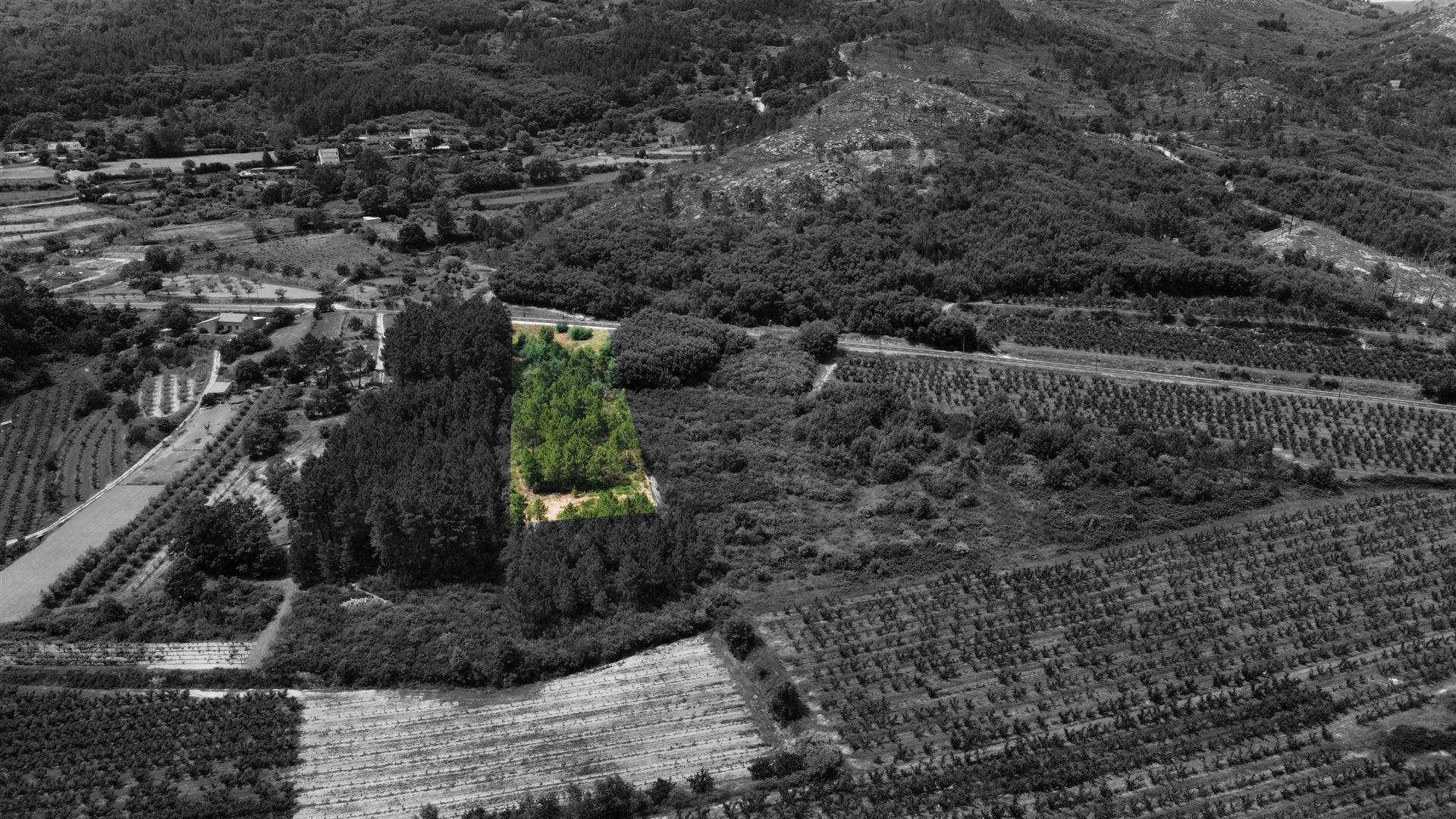 Terreno Rústico c/ 5.629 m² em Aldeia do Souto – Covilhã