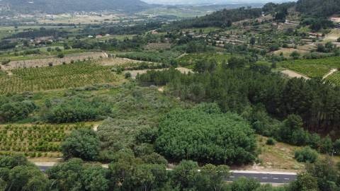 Terreno Rústico c/ 8.331 m² em Aldeia do Souto – Covilhã