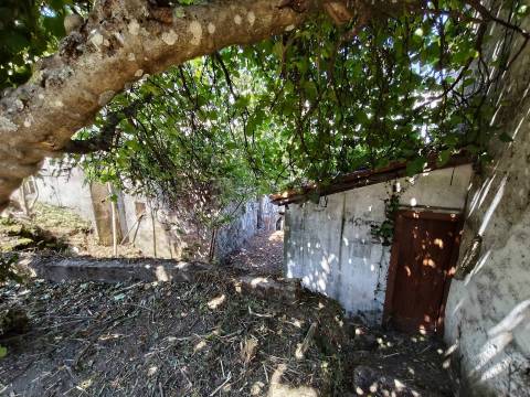 Investimento na Covilhã | 4 Artigos Urbanos com Potencial Construtivo