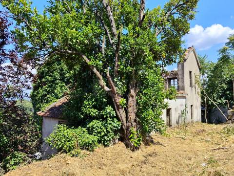 Investimento na Covilhã | 4 Artigos Urbanos com Potencial Construtivo