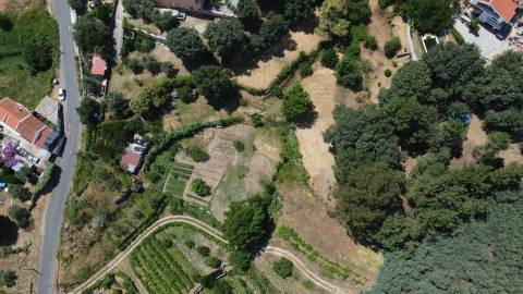 Terreno com 4.522 m² e Viabilidade de Construção - Vila do Carvalho