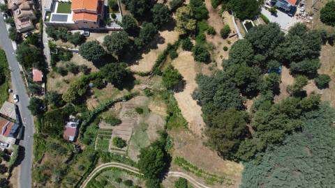 Terreno com 4.522 m² e Viabilidade de Construção - Vila do Carvalho