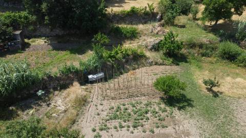 Terreno com 4.522 m² e Viabilidade de Construção - Vila do Carvalho