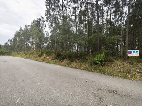 Terreno c/ possibilidade de Construção | 2542 m² | Vila Nova de Poiares