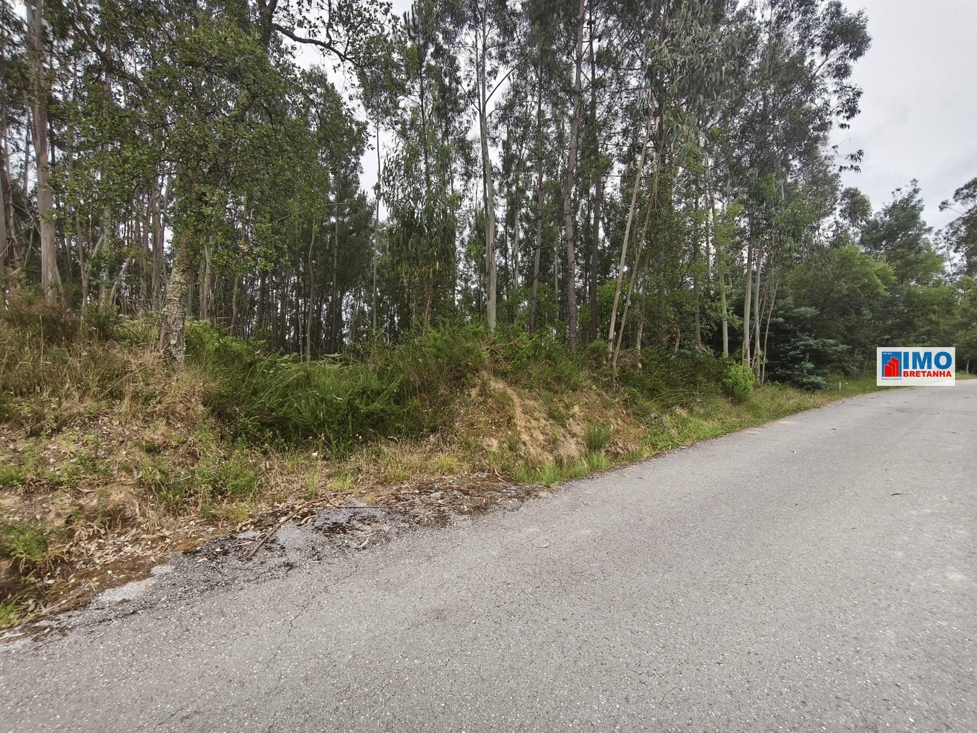 Terreno c/ possibilidade de Construção | 2542 m² | Vila Nova de Poiares