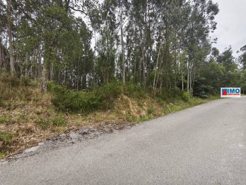 Terreno c/ possibilidade de Construção | 2542 m² | Vila Nova de Poiares