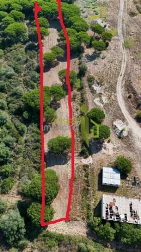 Terreno Rústico com 4.680m2 a venda na Terrugem