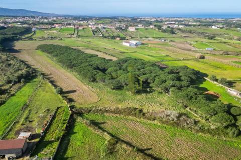 Terreno Rústico com  7.120 m² em Sintra