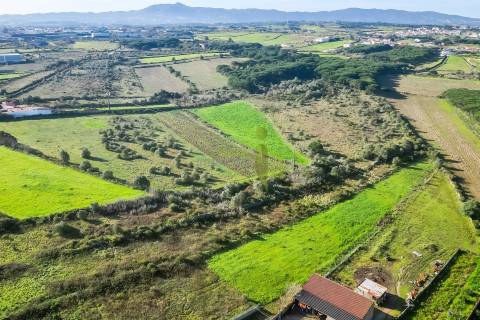 Terreno Rústico com 6 Hectares | São João das Lampas e Terrugem – Sintra
